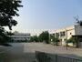 小学校　板橋区立志村第三小学校（小学校）まで564m