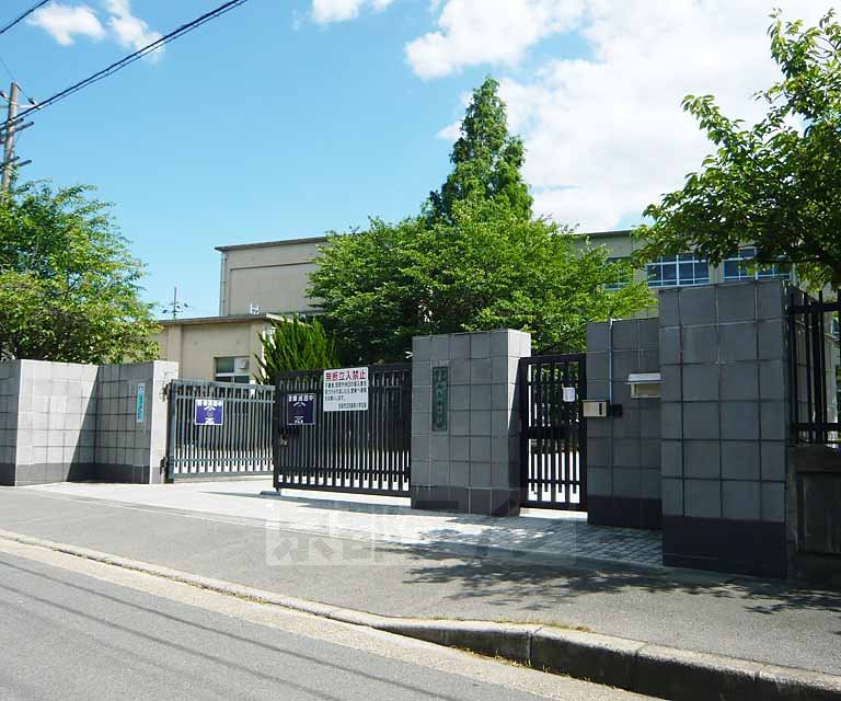 小学校　向島南小学校（小学校）まで480m