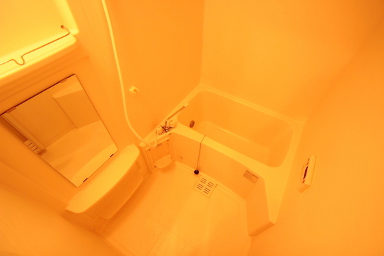 バス・シャワールーム　※別部屋の写真です