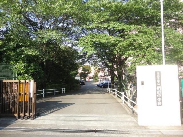 中学校　八王子市立椚田中学校（中学校）まで524m