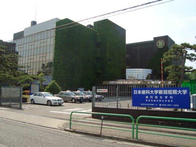 その他　私立日本歯科大学新潟生命歯学部（その他）まで2353m