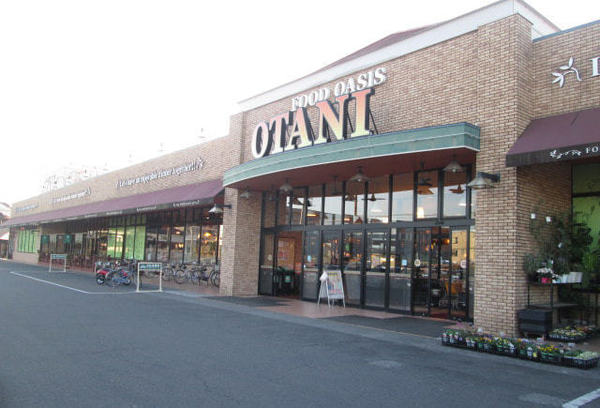 スーパー　フードオアシスOTANI平松店（スーパー）まで564m