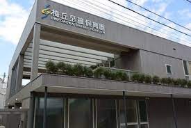 幼稚園・保育園　梅丘保育園（幼稚園・保育園）まで814m