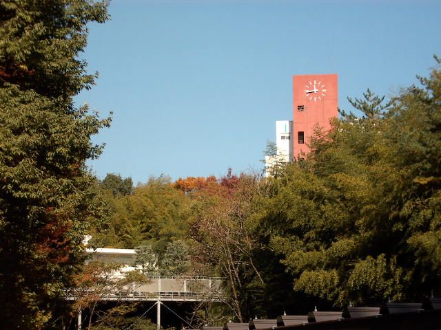 大学・短大　杏林大学 八王子キャンパス（大学・短大）まで3291m