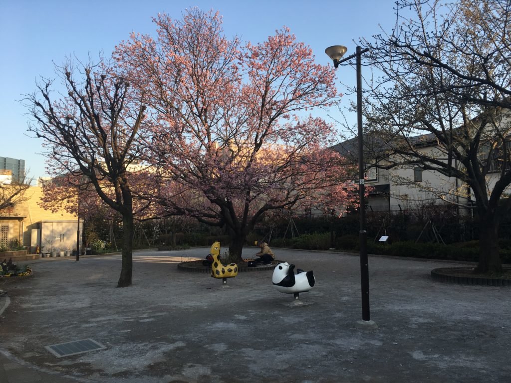 公園　西品川おさんぽ公園（公園）まで430m