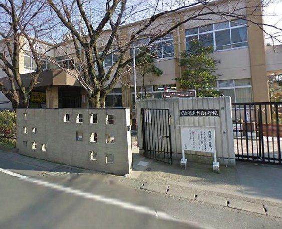 小学校　桂東小学校（小学校）まで701m