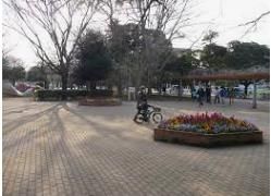 公園　薬円台公園（公園）まで380m