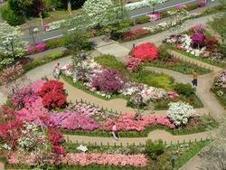 公園　平成つつじ公園（公園）まで1675m