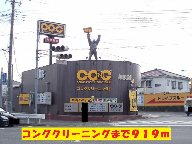 その他　コングクリーニング（その他）まで919m