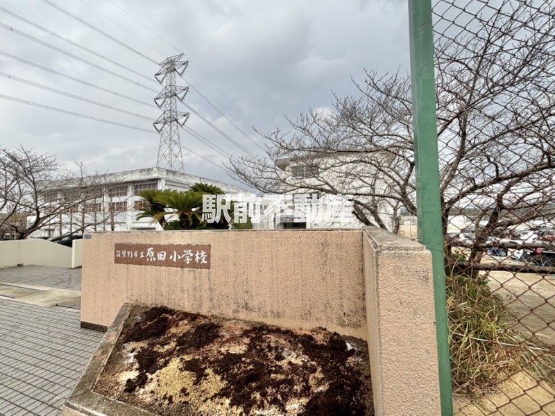 小学校　原田小学校（小学校）まで600m