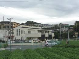 幼稚園・保育園　広見保育園（幼稚園・保育園）まで1296m