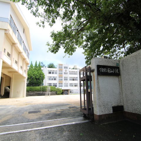 小学校　下関市立桜山小学校（小学校）まで1079m