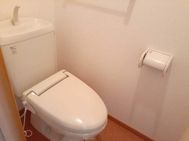 トイレ　トイレも気になるポイント