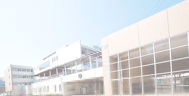 小学校　墨田区立隅田小学校（小学校）まで962m