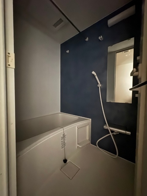 バス・シャワールーム　※別部屋同タイプ