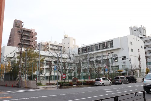 中学校　東京都立白鴎高等学校 附属中学校（中学校）まで240m