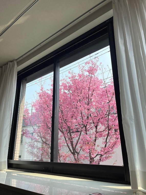 眺望