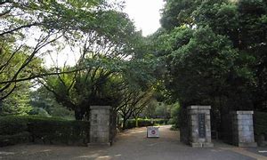 公園　駒場野公園（公園）まで1147m