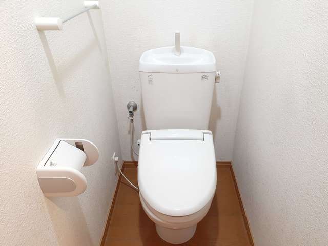 トイレ　トイレも気になるポイント