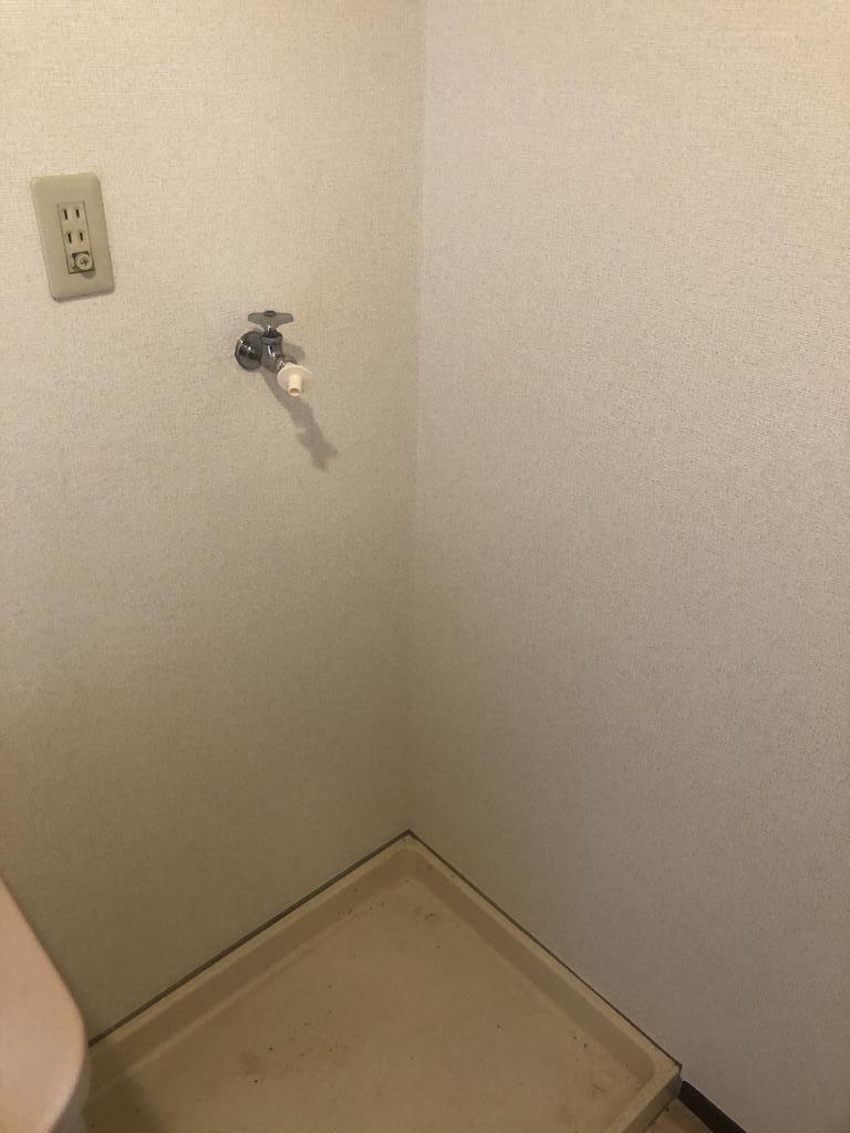 セレクトTのその他写真
