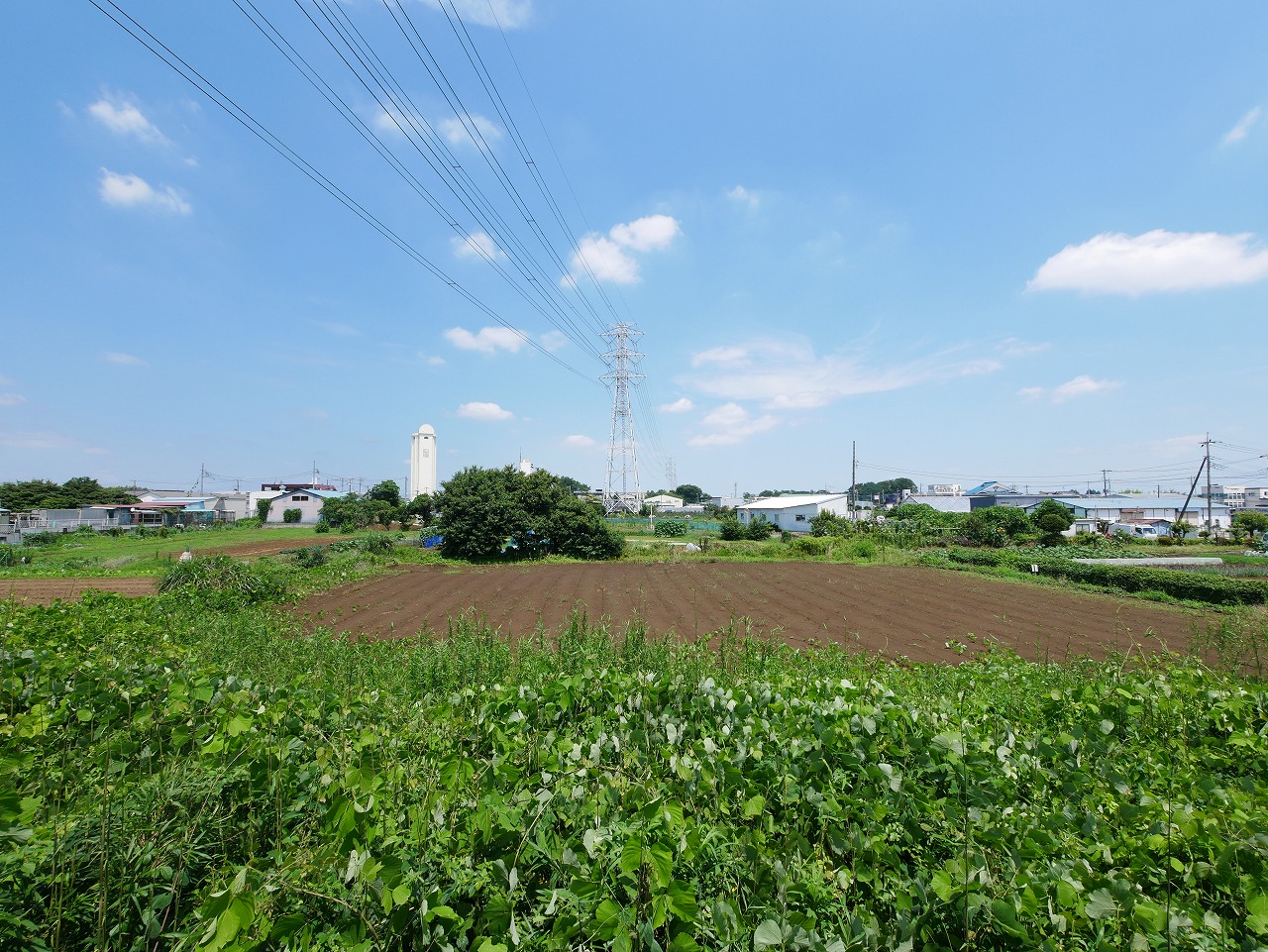 新座市堀ノ内3丁目 倉庫車庫付き貸住居事務所のその他写真