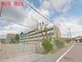 小学校　宝塚市立仁川小学校（小学校）まで800m