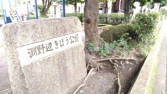 公園　淵野辺きぼう公園（公園）まで491m