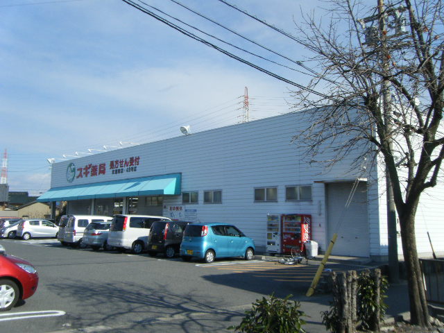 ドラックストア　スギ薬局 武豊南店（ドラッグストア）まで1596m