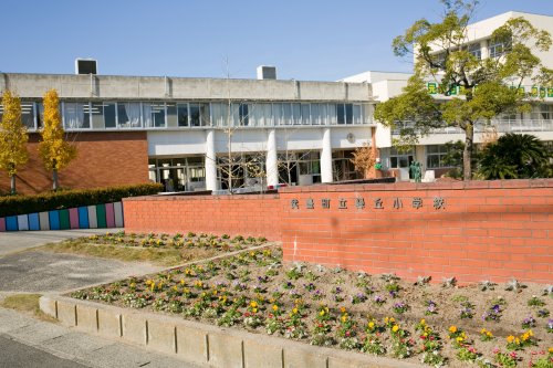 小学校　武豊町立緑丘小学校（小学校）まで334m