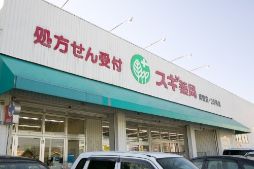 ドラックストア　スギ薬局武豊店（ドラッグストア）まで1025m