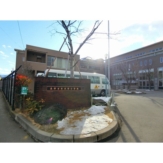 小学校　私立長野日本大学小学校（小学校）まで1213m