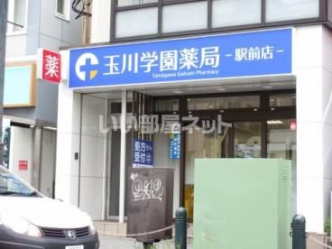ドラックストア　玉川学園薬局金井店（ドラッグストア）まで1255m
