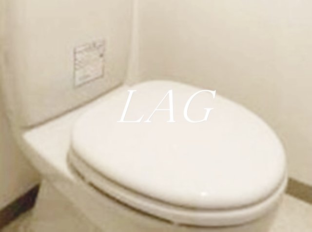 トイレ　トイレです。