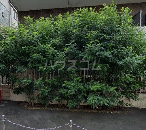 庭