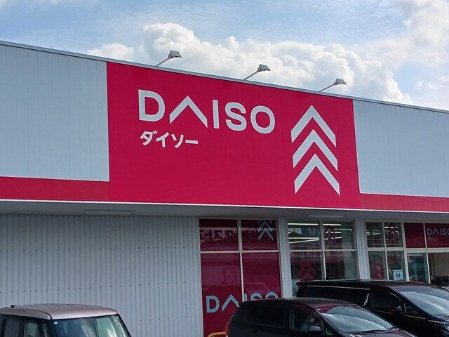 その他　ダイソー（その他）まで800m
