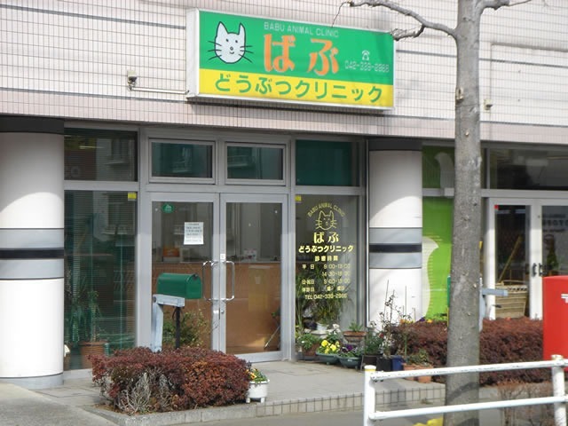 その他　ばぶどうぶつクリニック（その他）まで226m
