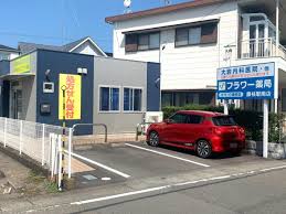 ドラックストア　フラワー薬局 藤枝駅南店（ドラッグストア）まで507m