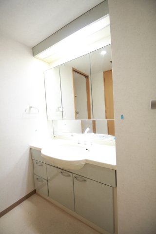 洗面設備　（別タイプ参考写真）ガーデン文京白山　文京区白山2