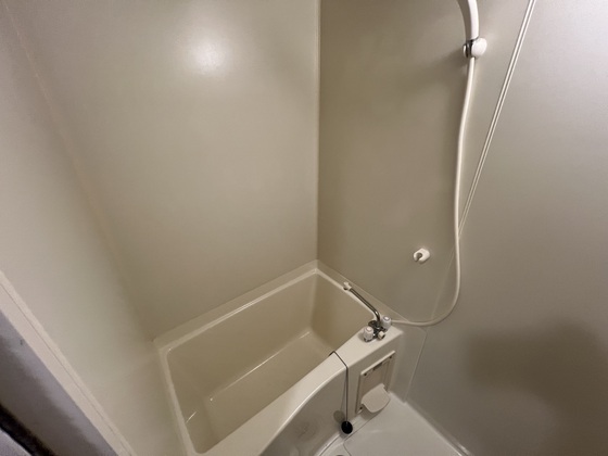 バス・シャワールーム　※別部屋の写真です