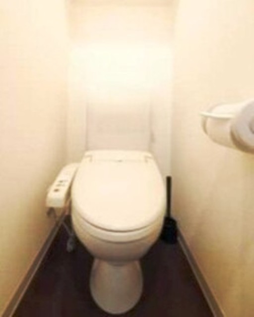 トイレ　同仕様の別部屋画像