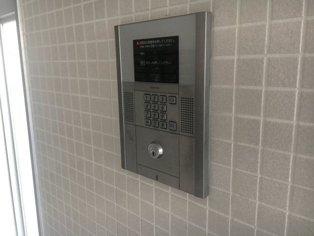 feliciaうさぎのその他写真