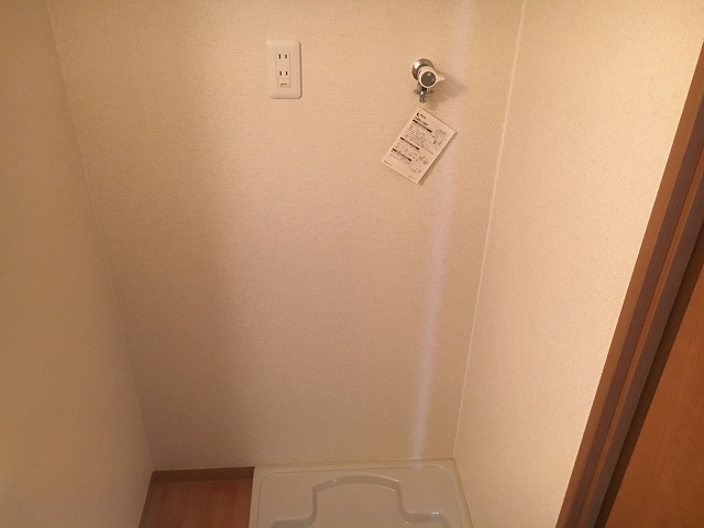 feliciaうさぎのその他写真