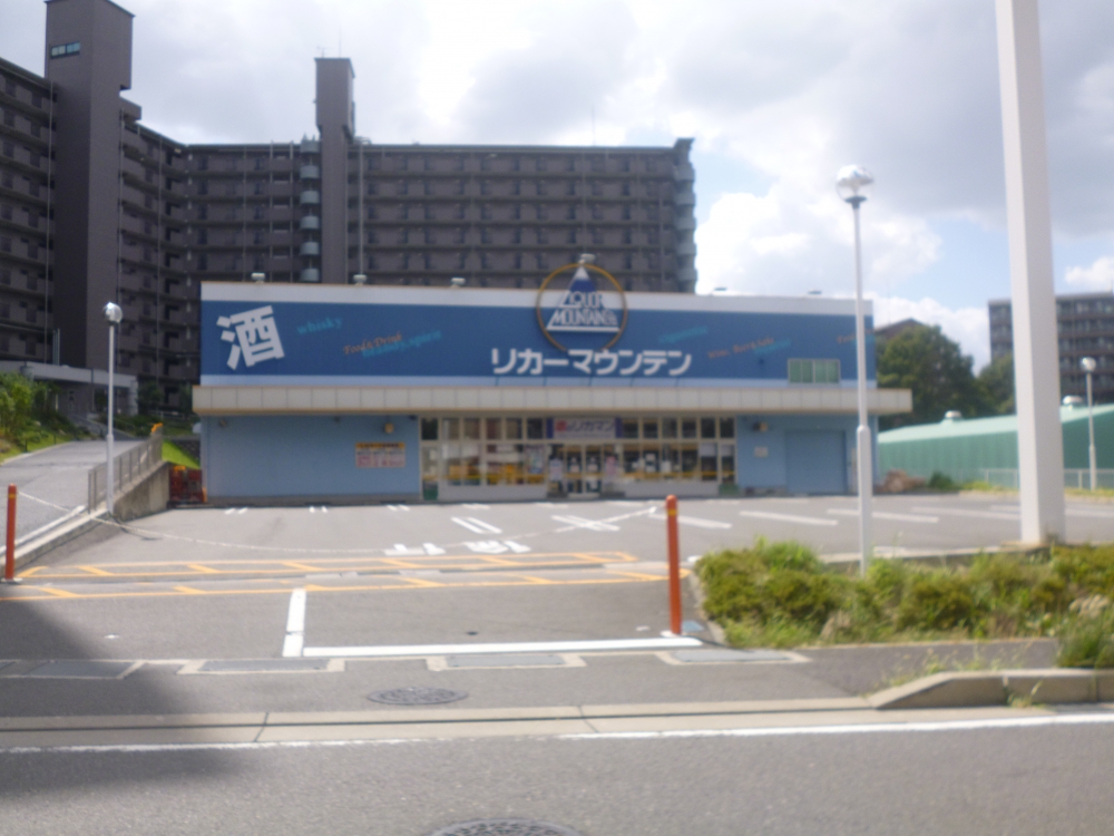 feliciaうさぎの周辺写真