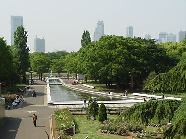 公園　代々木公園（公園）まで800m