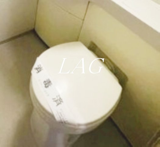 トイレ　トイレです。