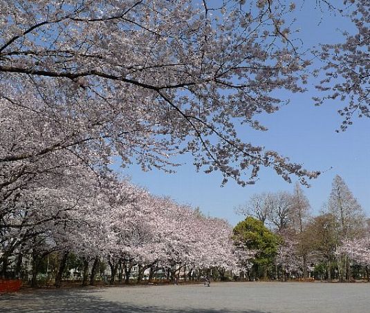 公園　林試の森公園（公園）まで622m