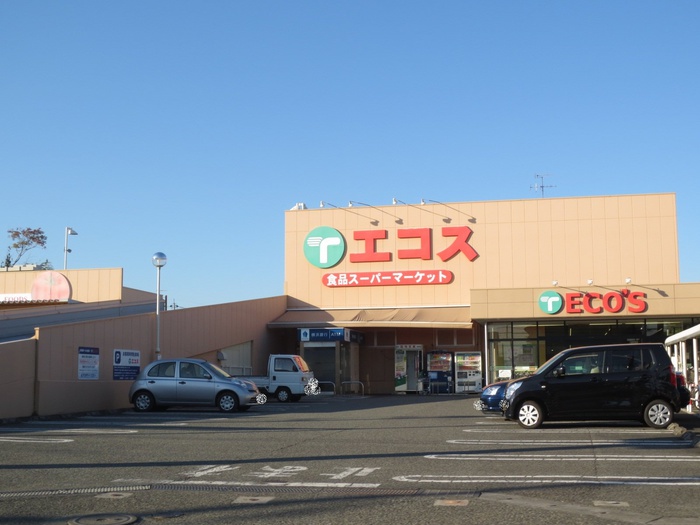 スーパー　エコス 城山店（スーパー）まで770m