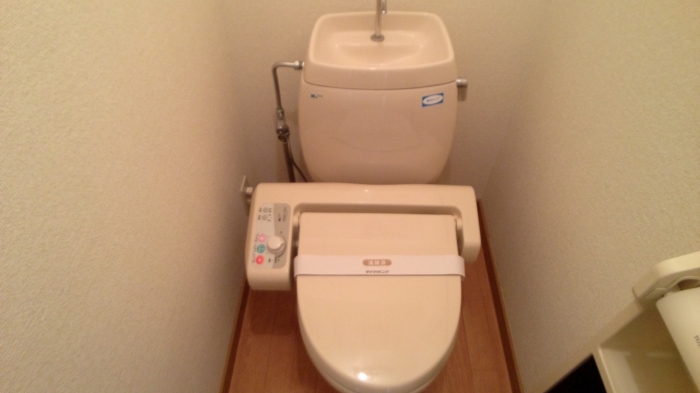 フラワーレジデンス森田 拾番館 202のトイレ写真