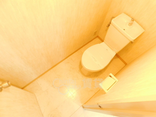 能勢電鉄妙見線 畦野駅 徒歩4分 4階建 築35年のトイレ写真