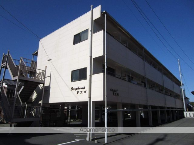 ベルカンプ東大洲